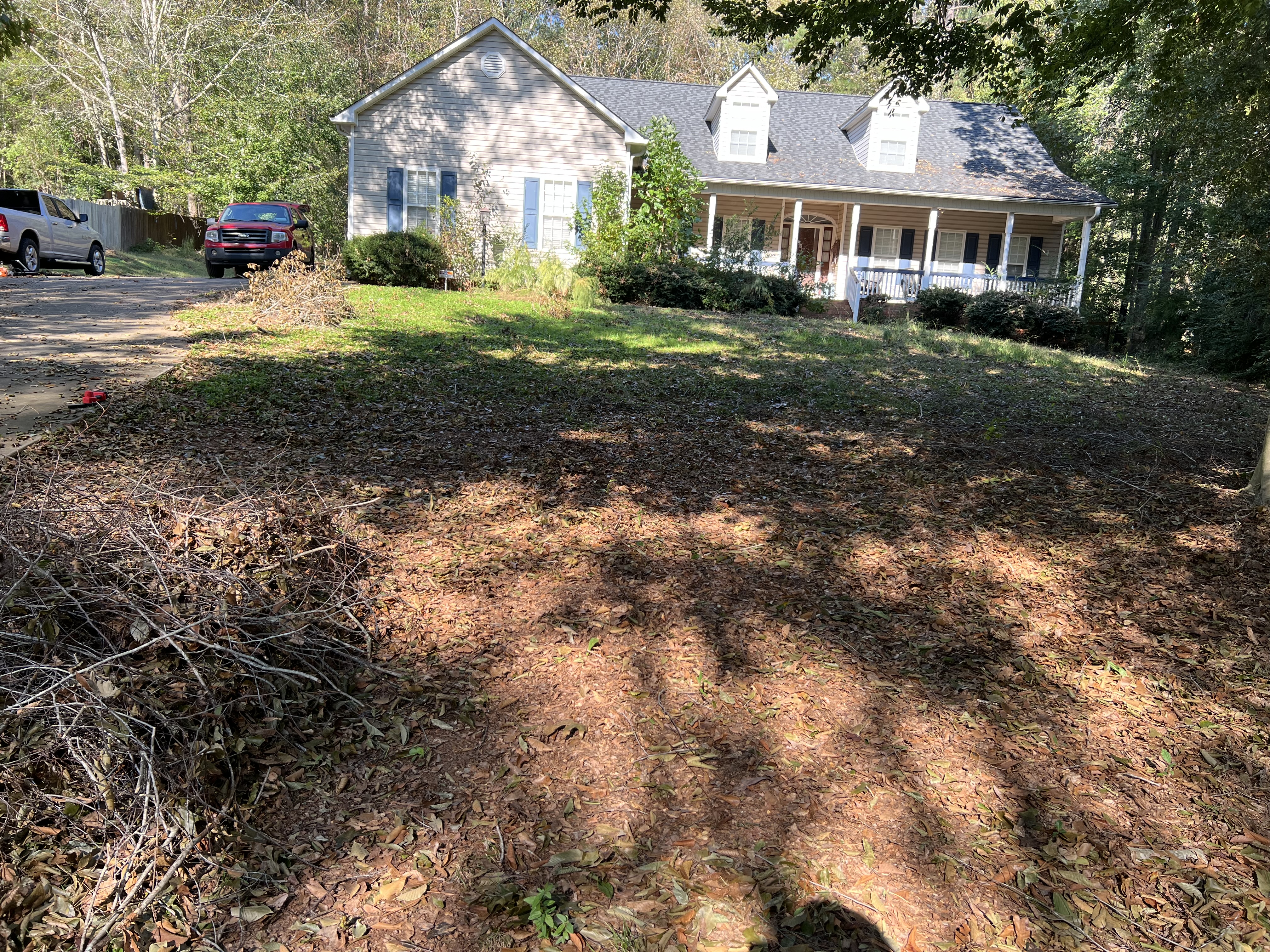 Big yard cleanup — before